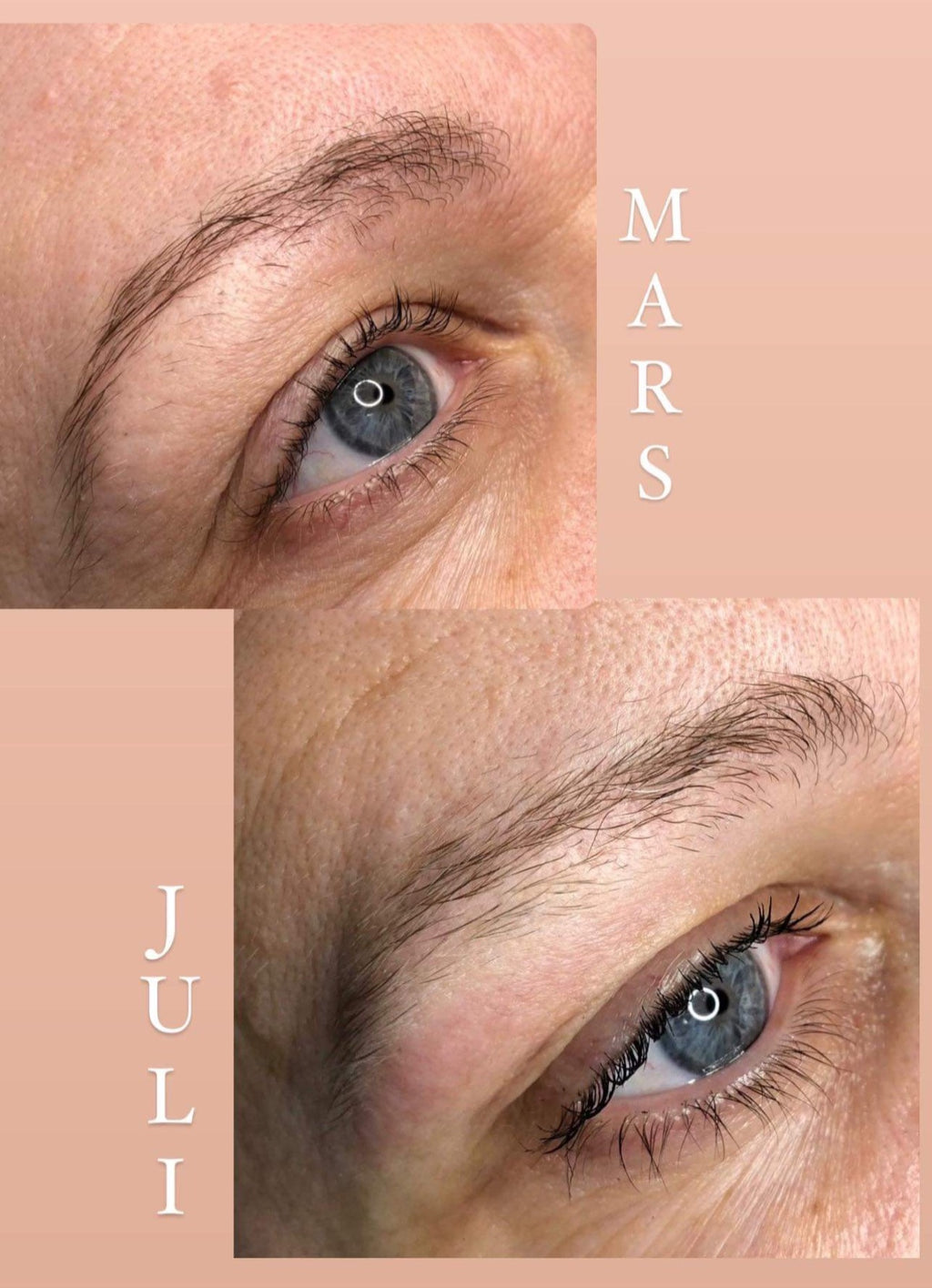 Studio Brows Brow Oil