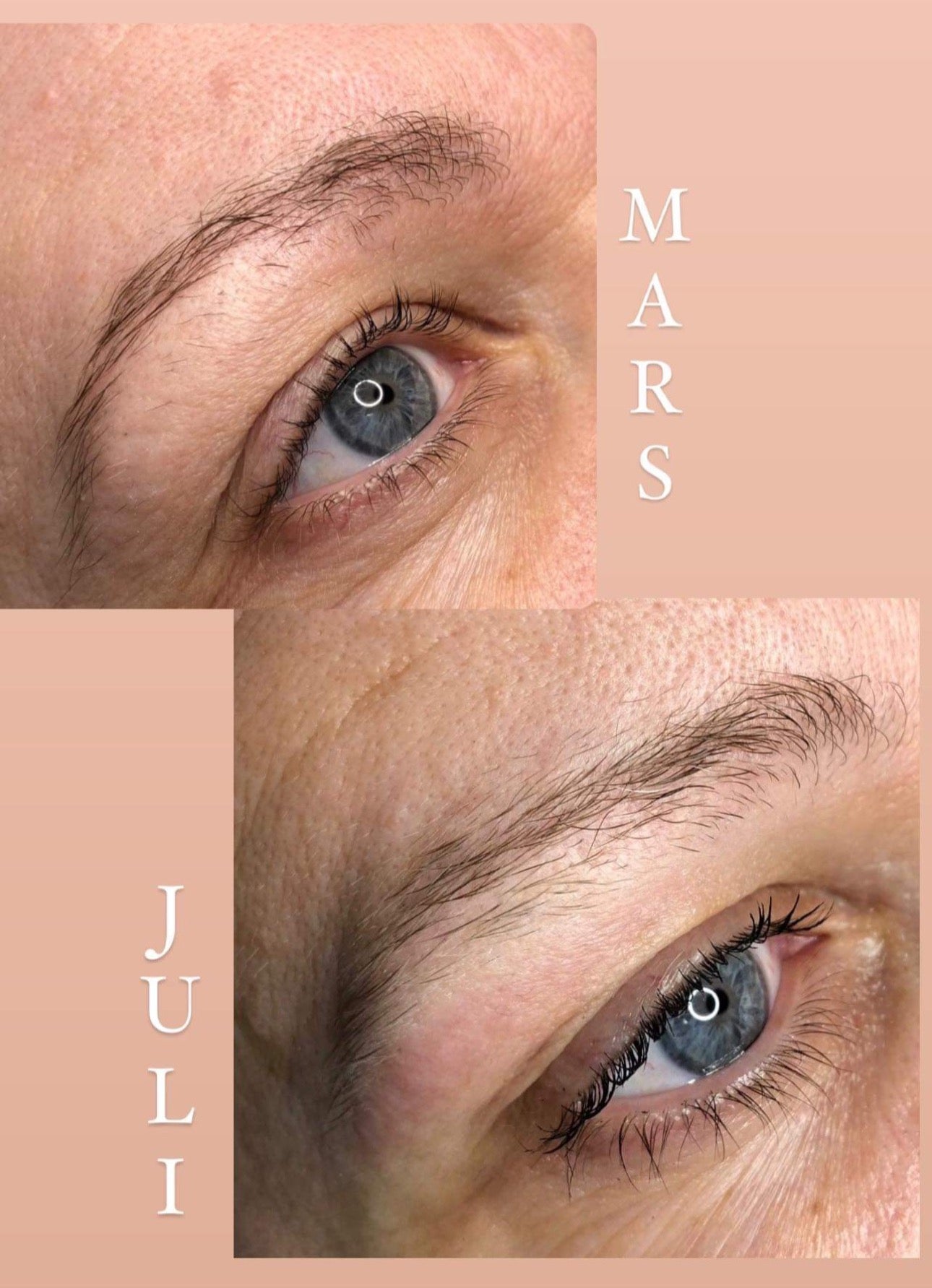 Studio Brows Brow Oil