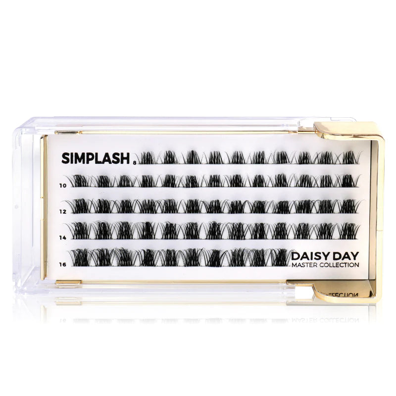 DAISY DAY MASTER